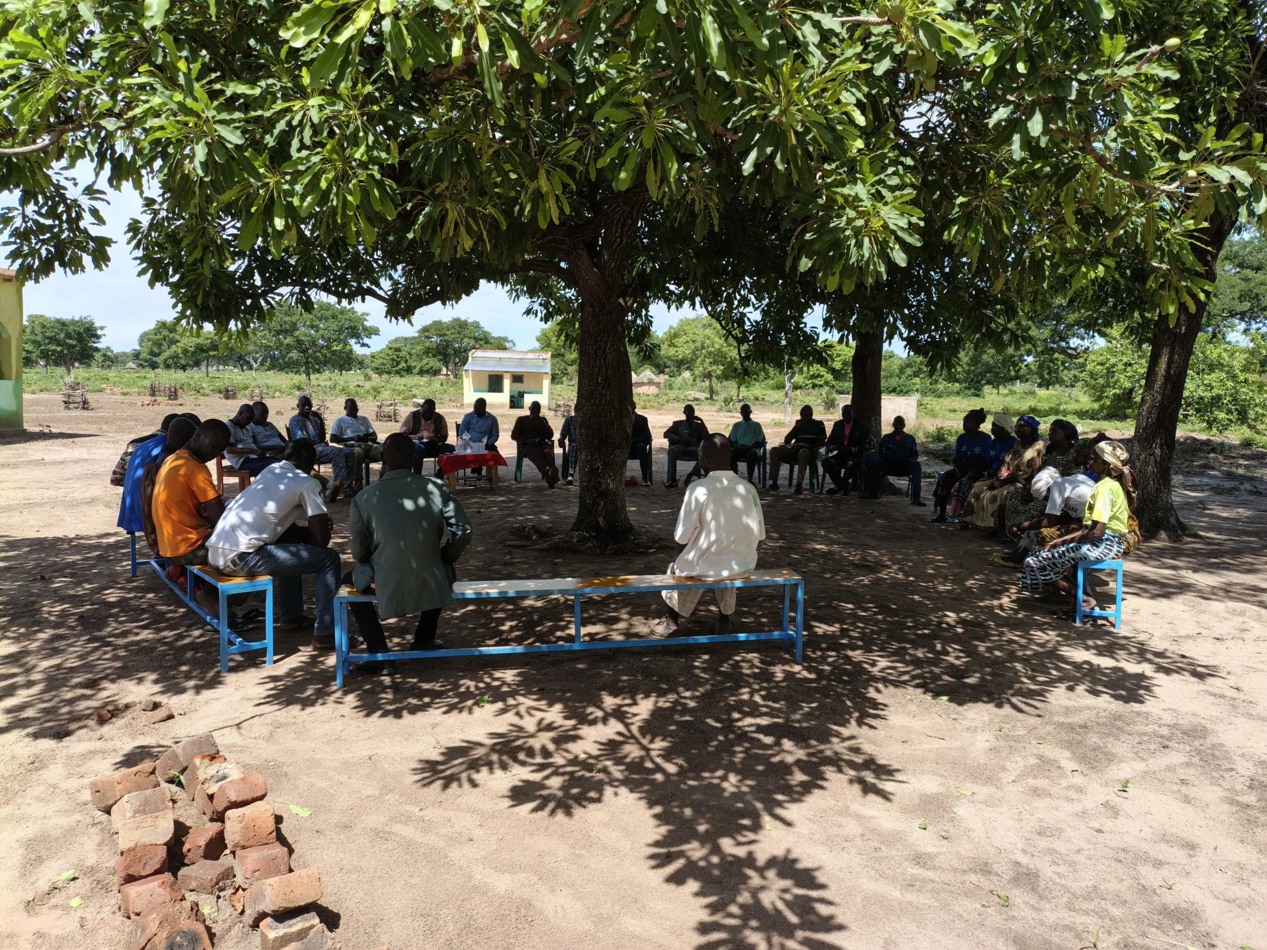 DIRECTEUR EXECUTIF DE AEST-TCHAD